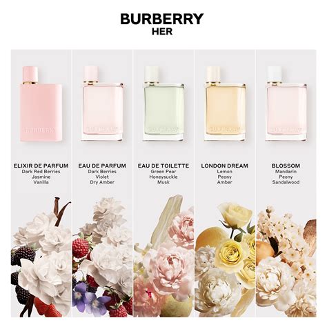 burberry her elixir de parfum notes|where to buy burberry perfume.